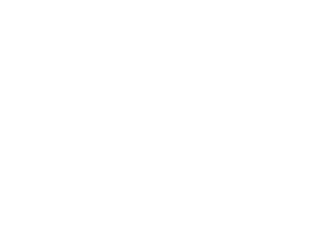 Logo del CIDEA